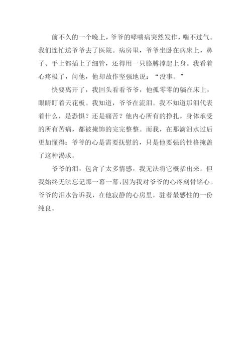 定格在记忆中的画面作文800字-3.docx