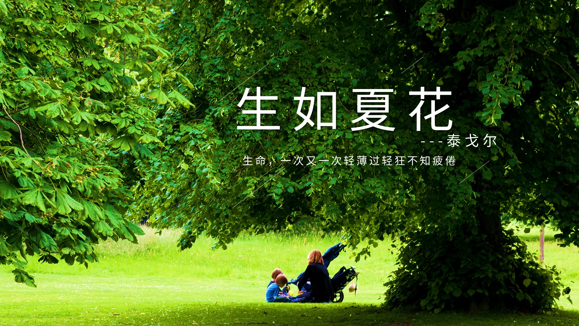 绿色简约生如夏花PPT模板宣传PPT动态PPT朗诵