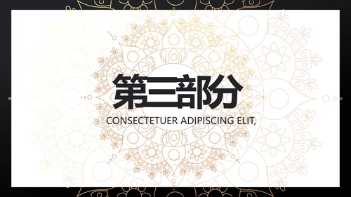 黑金高端大气金融产品介绍动态PPT模板