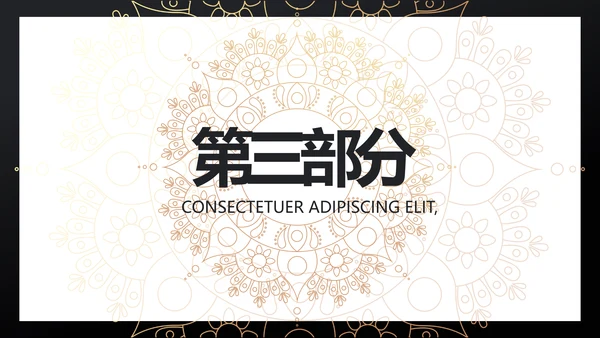 黑金高端大气金融产品介绍动态PPT模板