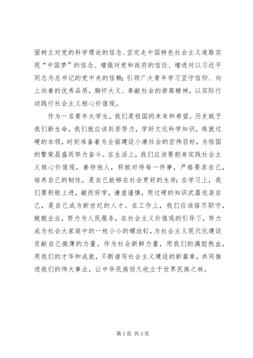 对践行社会主义核心价值观心得体会.docx