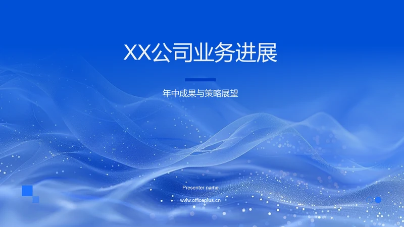 XX公司业务进展