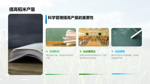 稻田科学种植