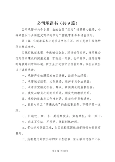 公司承诺书（共9篇）.docx