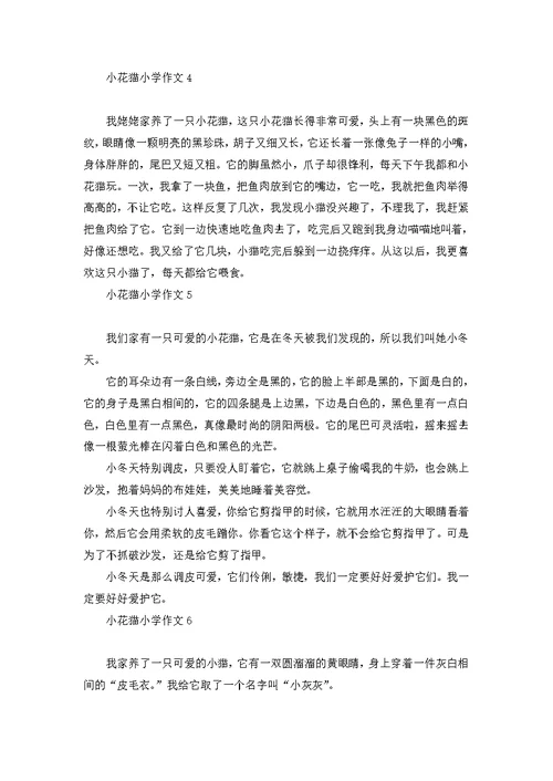 必备公园四年级作文4篇