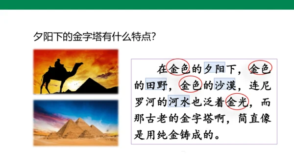 20 金字塔 第1课时 课件