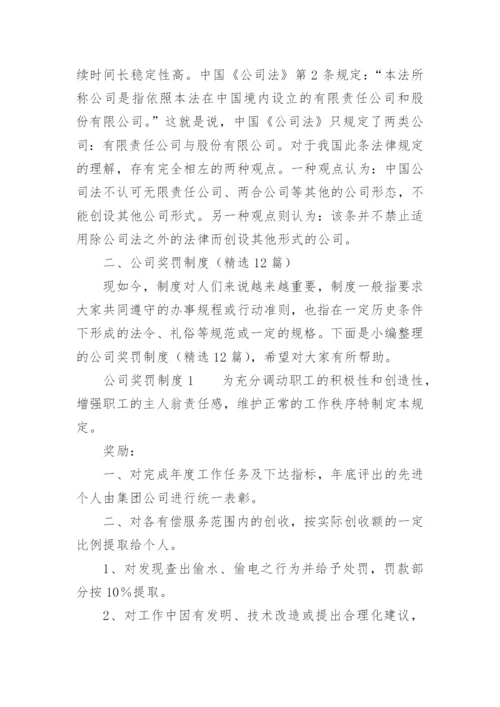 公司奖罚制度.docx