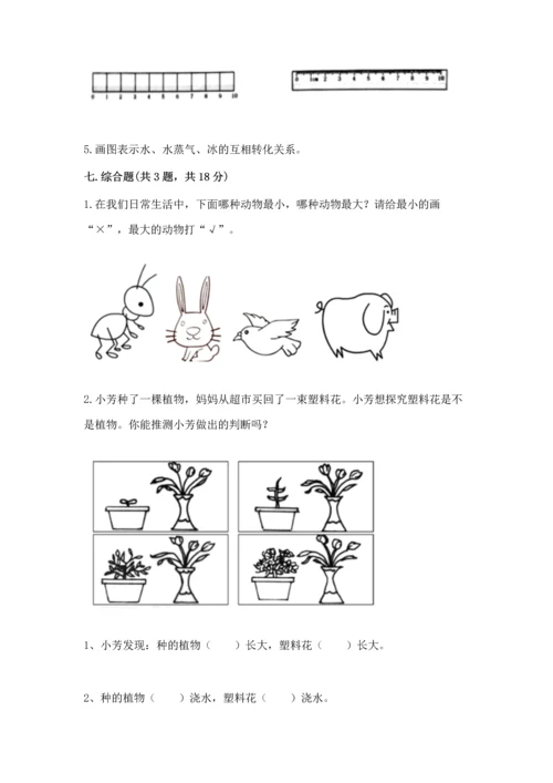 教科版一年级上册科学期末测试卷【a卷】.docx