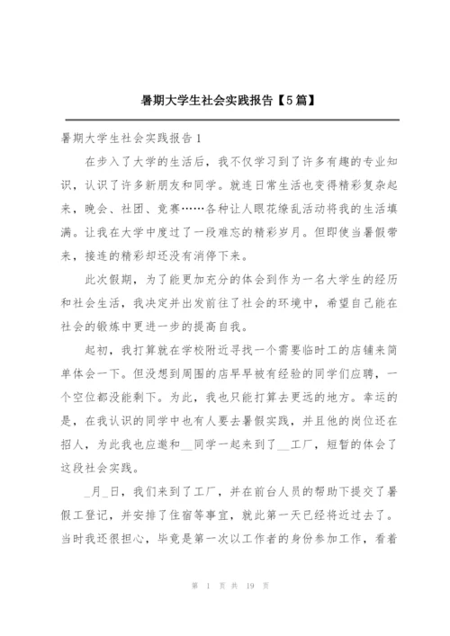 暑期大学生社会实践报告【5篇】.docx