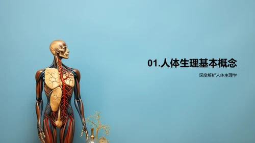 深度解读人体生理