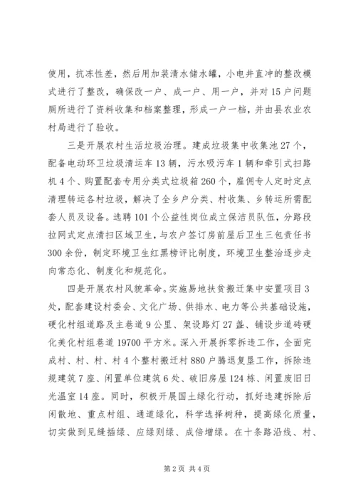 乡镇开展全域无垃圾整治情况自评报告.docx