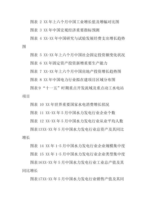水力发电行业投资项目可行性报告.docx