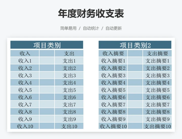 年度财务收支表