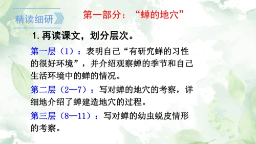 第21课《蝉》课件