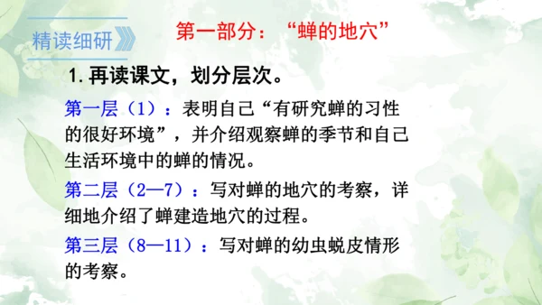 第21课《蝉》课件