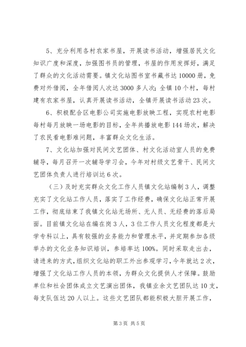 乡镇群众文化工作总结.docx