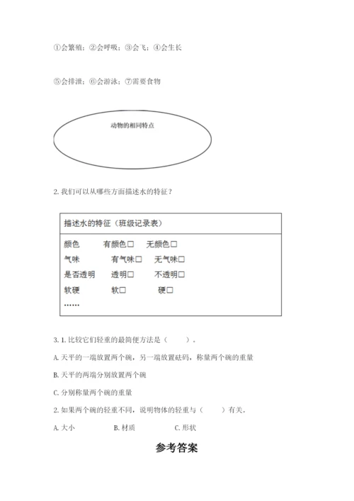 教科版小学科学一年级下册期末测试卷（突破训练）.docx