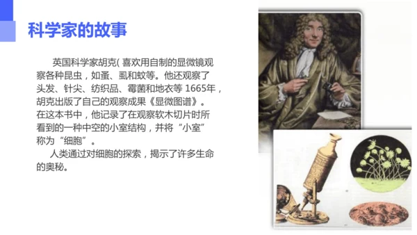 人教版（2024）七年级上册1.2.1 学习使用显微镜 课件(共29张PPT)