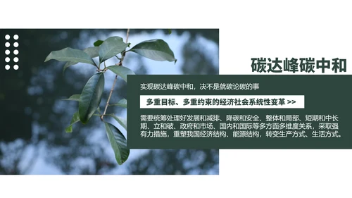 低碳经济碳达峰碳中和新理念PPT党课