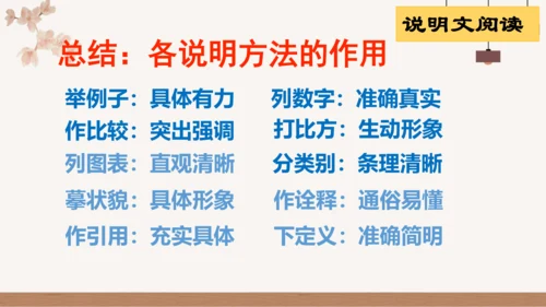 八年级上册期中复习