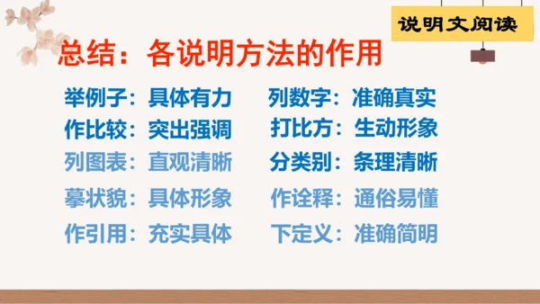 八年级上册期中复习