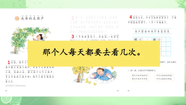 14.《我要的是葫芦》第2课时 课件
