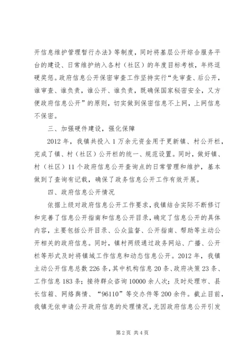 乡镇政府信息公开自查报告_1.docx