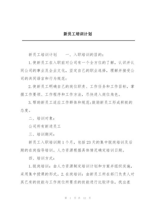 新员工培训计划.docx