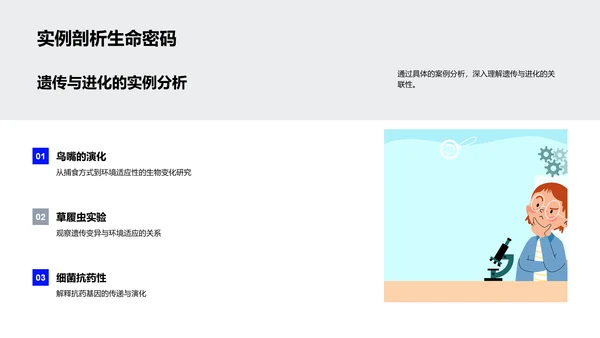 遗传进化原理教学PPT模板
