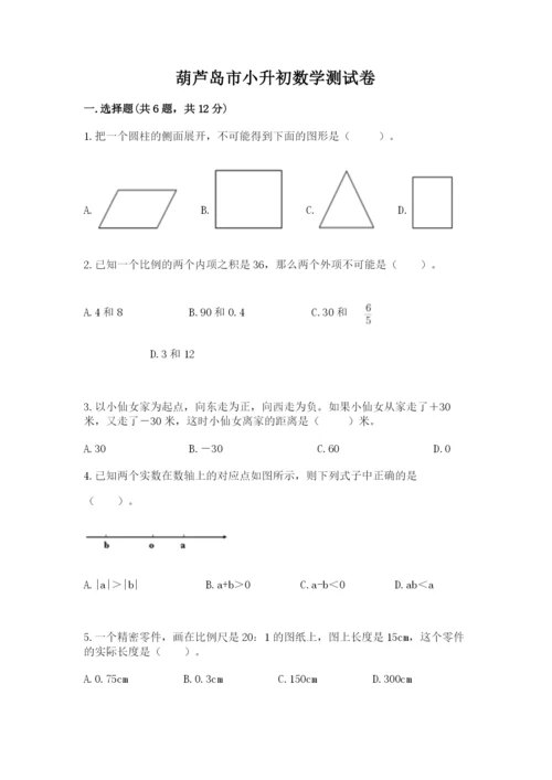 葫芦岛市小升初数学测试卷最新.docx
