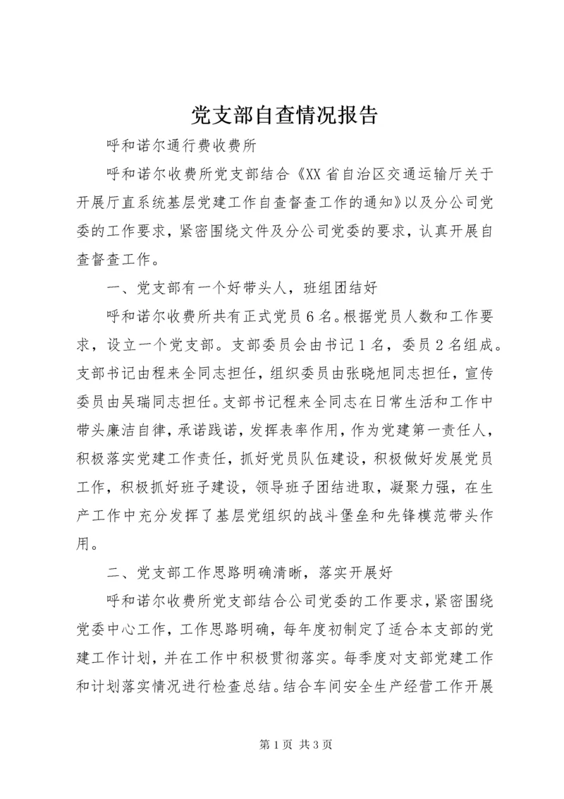 党支部自查情况报告.docx