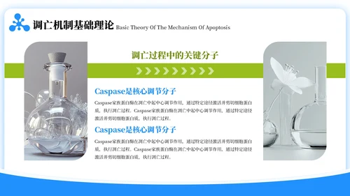 蓝绿色简约风生物学毕业答辩ppt模板