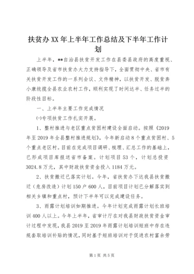 扶贫办XX年上半年工作总结及下半年工作计划 (4).docx