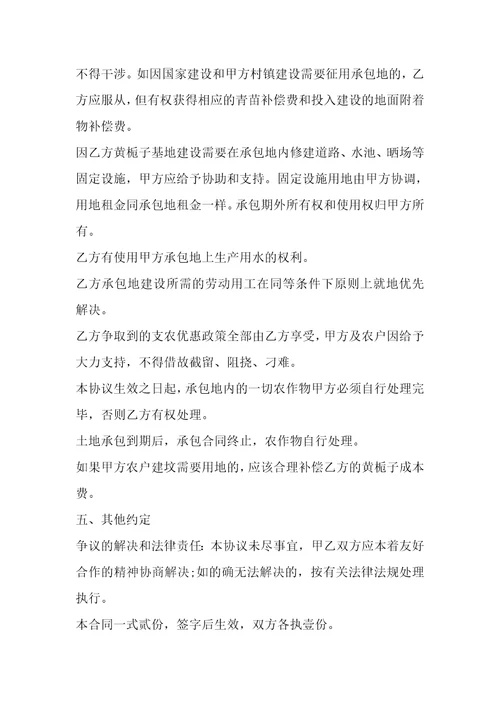 山地承包经营权合同书1篇