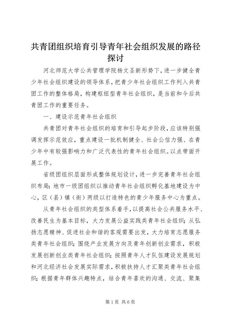 共青团组织培育引导青年社会组织发展的路径探讨.docx