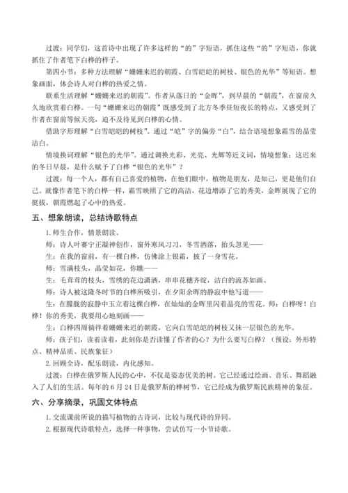 统编版四下11 白桦（教案含反思）