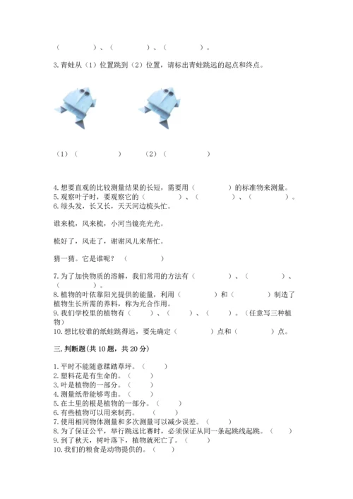 教科版一年级上册科学期末测试卷【培优b卷】.docx