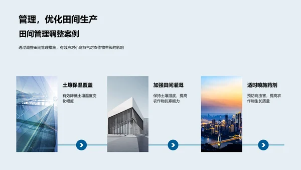 小寒农业应对策略PPT模板