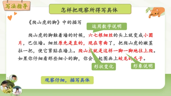 统编版2024-2025学年语文四年级上册第三单元习作 观察日记-（教学课件）