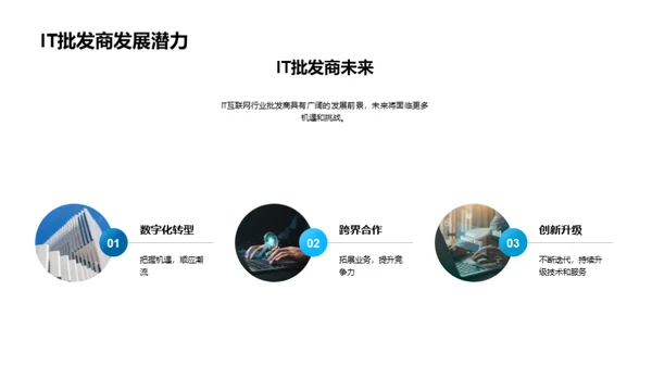 IT批发业的创新与前瞻