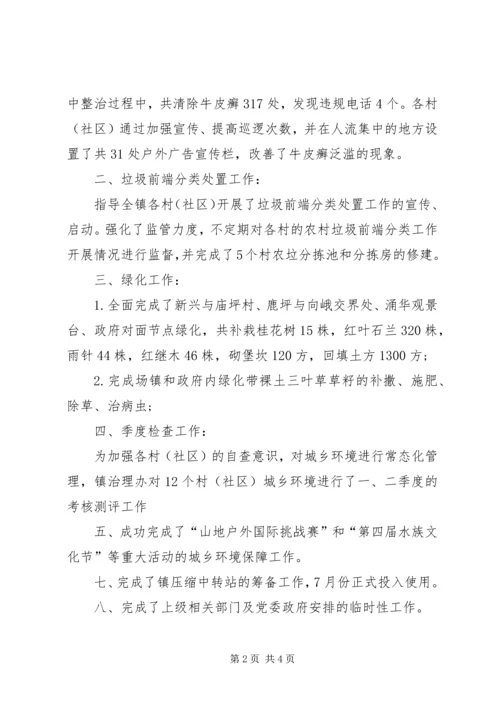 乡镇治理办工作总结.docx
