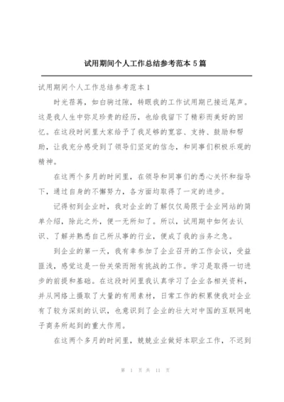 试用期间个人工作总结参考范本5篇.docx