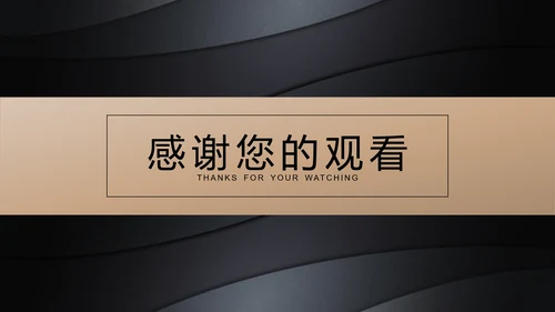 黑金高档金融商业活动策划执行方案PPT