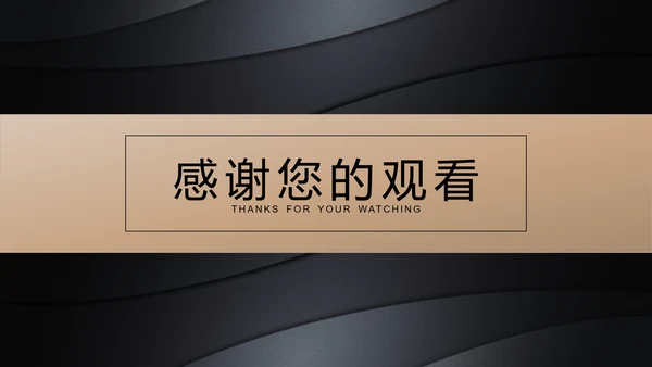 黑金高档金融商业活动策划执行方案PPT
