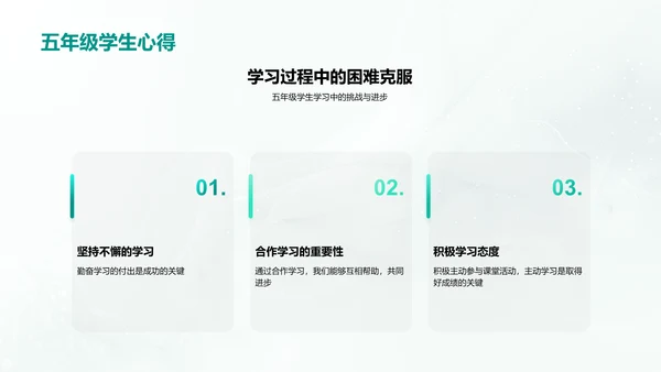 五年级实践教学报告