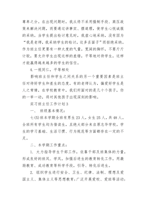 实习班主任工作计划.docx