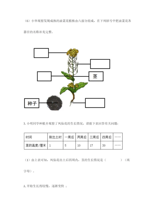 教科版科学四年级下册第一单元《植物的生长变化》测试卷（预热题）.docx