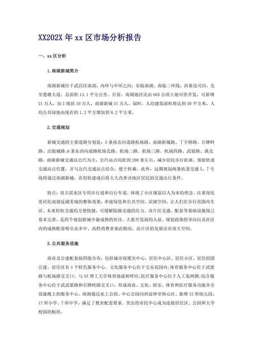 武汉202X年xx区市场分析报告