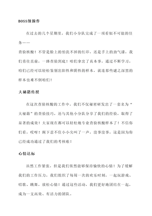 查验核酸工作总结汇报