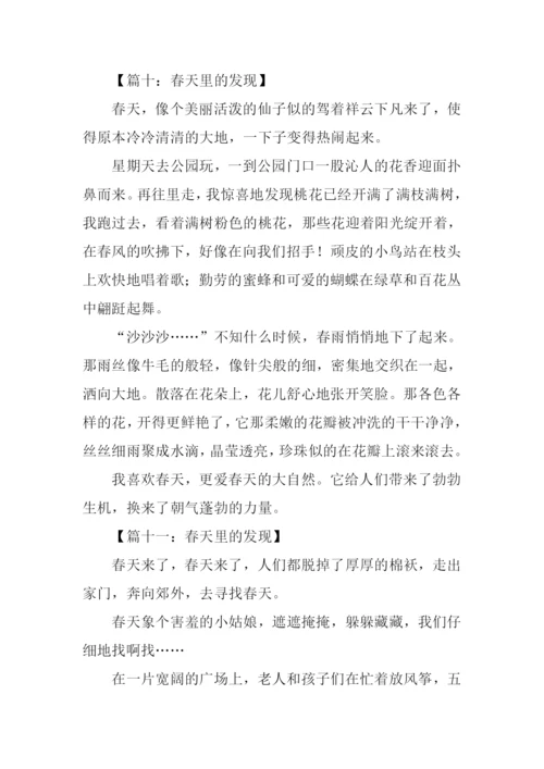 春天里的发现作文300字.docx